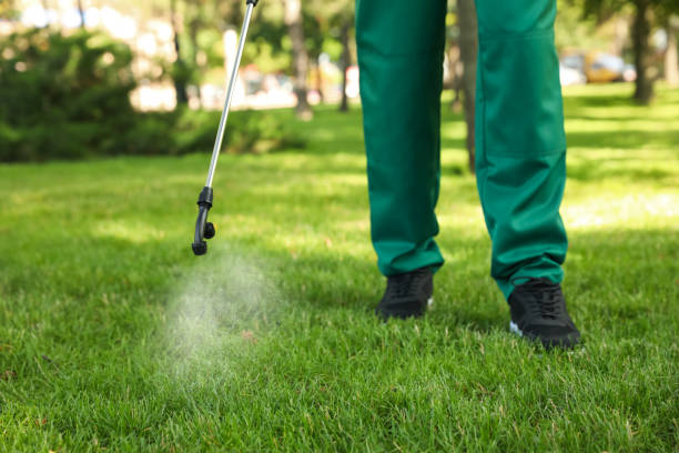 Best Local Pest Control Services  in Evans, CO