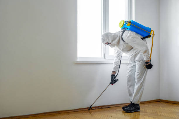 Best Pest Control Near Me in Evans, CO